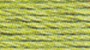 DMC Thread 703 - Springtime green